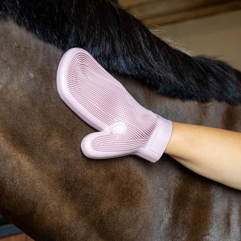 Grooming Deluxe Rubber Grooming Glove - Old Rose-3