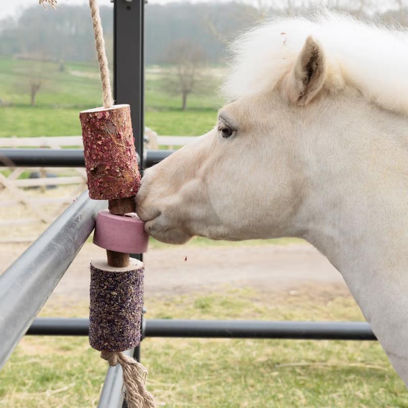 Grooming Deluxe Wooden Relax Horse Toy - Sammy with Salt Lick-1