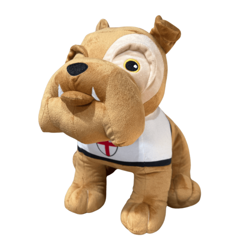 Hem and Boo England Bulldog