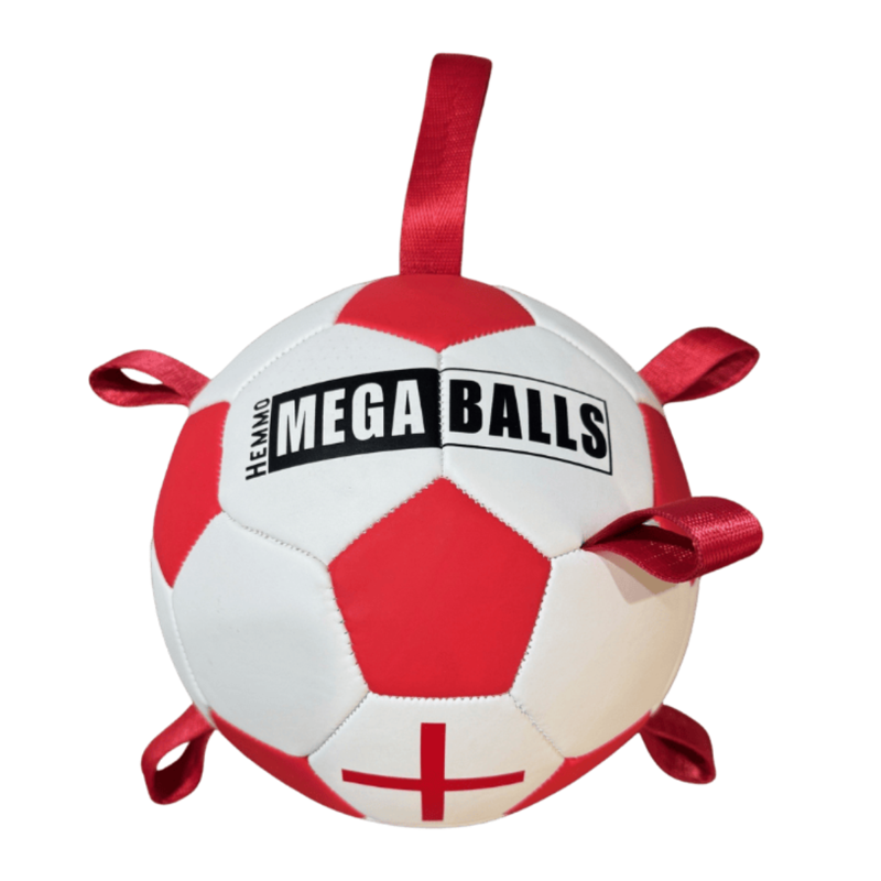 Hem and Boo England Pick Me Up Football Dog Toy