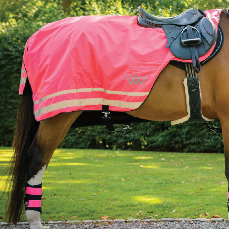 Woof Wear Hi Vis Exercise Sheet - Hi Vis Pink