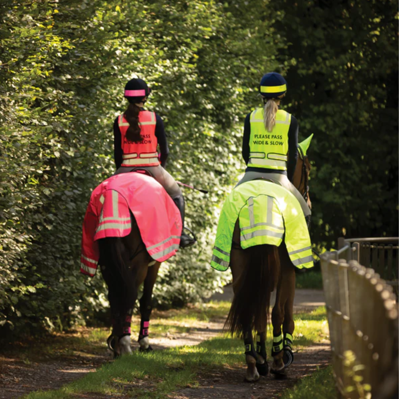Woof Wear Hi Vis Exercise Sheet - Hi Vis Pink-1
