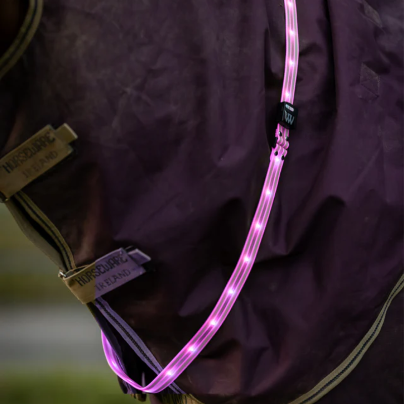 Woof Wear LED Sash - Hi Vis Pink