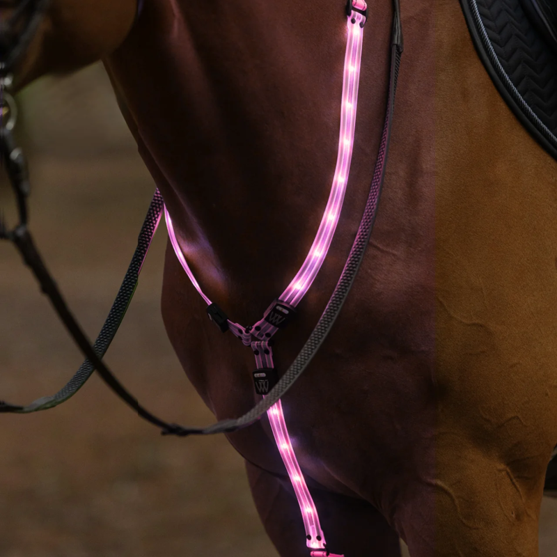 Woof Wear LED Neck Band - Hi Vis Pink