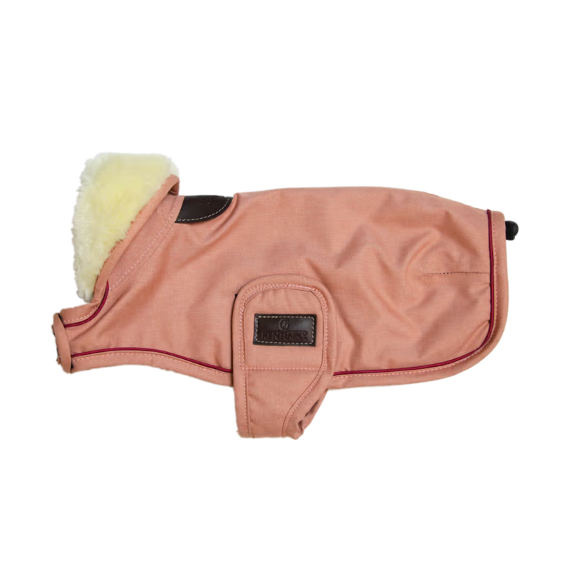 Kentucky Waterproof Dog Coat - Coral-2