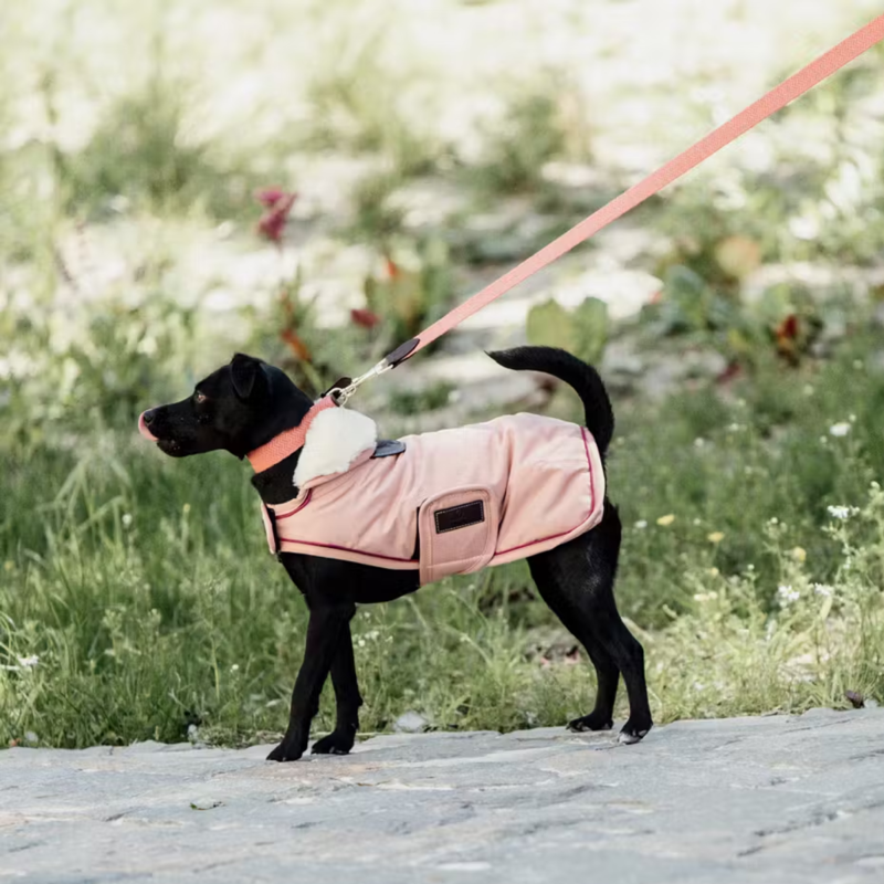 Kentucky Waterproof Dog Coat - Coral-1