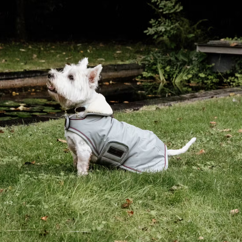 Kentucky Waterproof Dog Coat - Dusty Blue-3