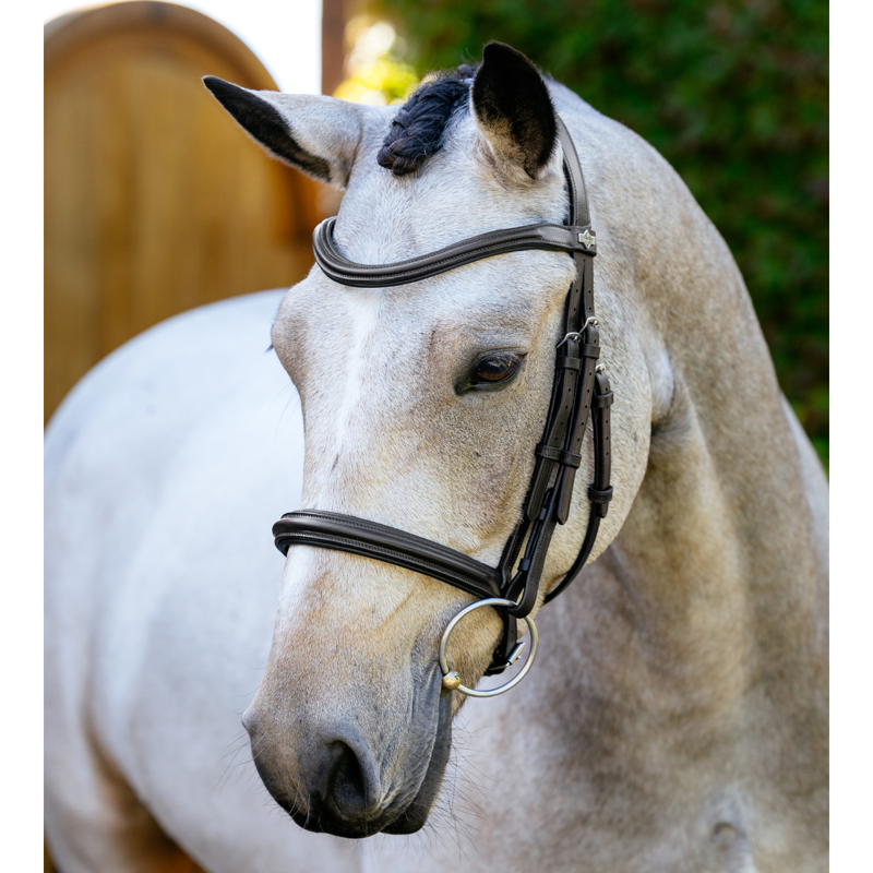 LeMieux Arika Cavesson Bridle - Brown/Silver-1
