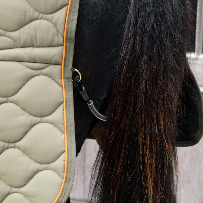 Kentucky Wave 160g Stable Rug - Dark Green-3