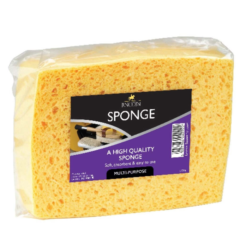 Lincoln Sponge