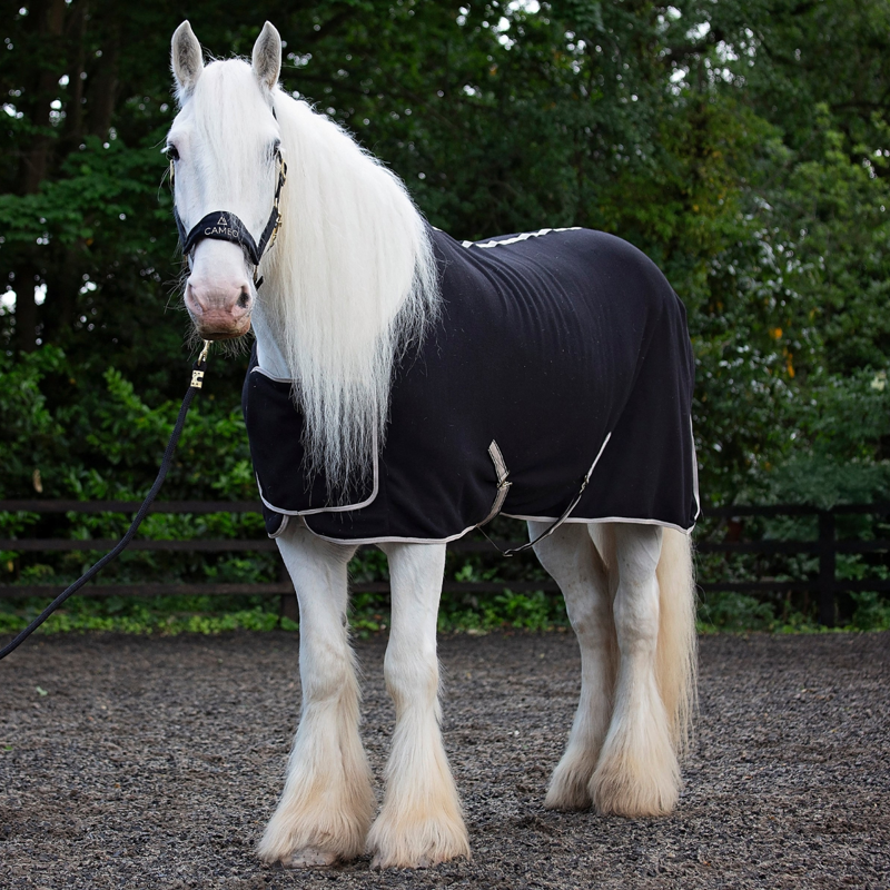 Cameo Elevate Show Rug - Black