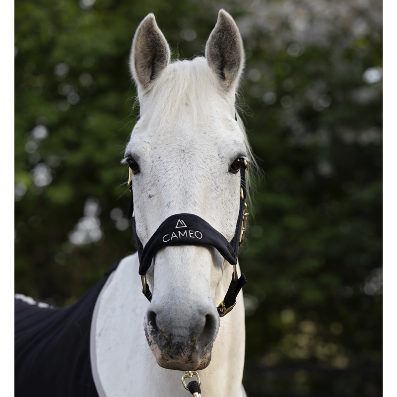 Cameo Suede Elite Headcollar And Leadrope - Black/Gold-1