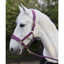 Cameo Suede Elite Headcollar And Leadrope - Deep Purple