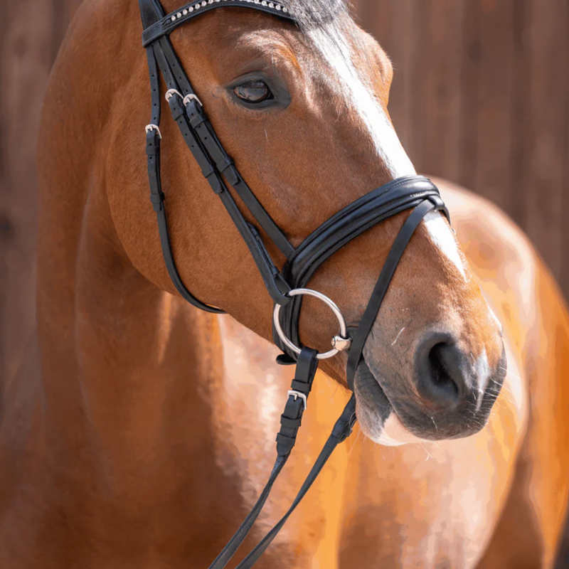 Sprenger Novocontact Loose Ring Snaffle 12mm Single Jointed Sensogan-3