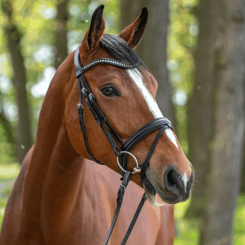 Sprenger WH Ultra Soft 16mm Sensogan Snaffle Bit-1