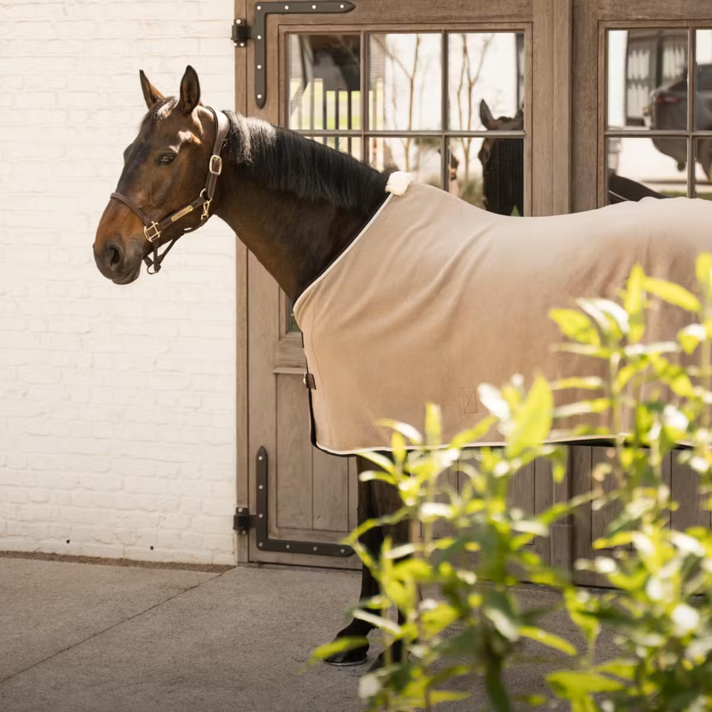 Kentucky Vegan Wool Fleece Show Rug - Beige-1