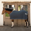 Kentucky Vegan Wool Fleece Show Rug - Navy