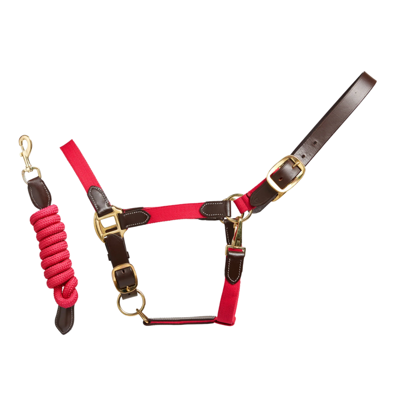 Cameo Performance Leather Headcollar and Lead - Cerise-1