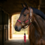Cameo Performance Leather Headcollar and Lead - Plum