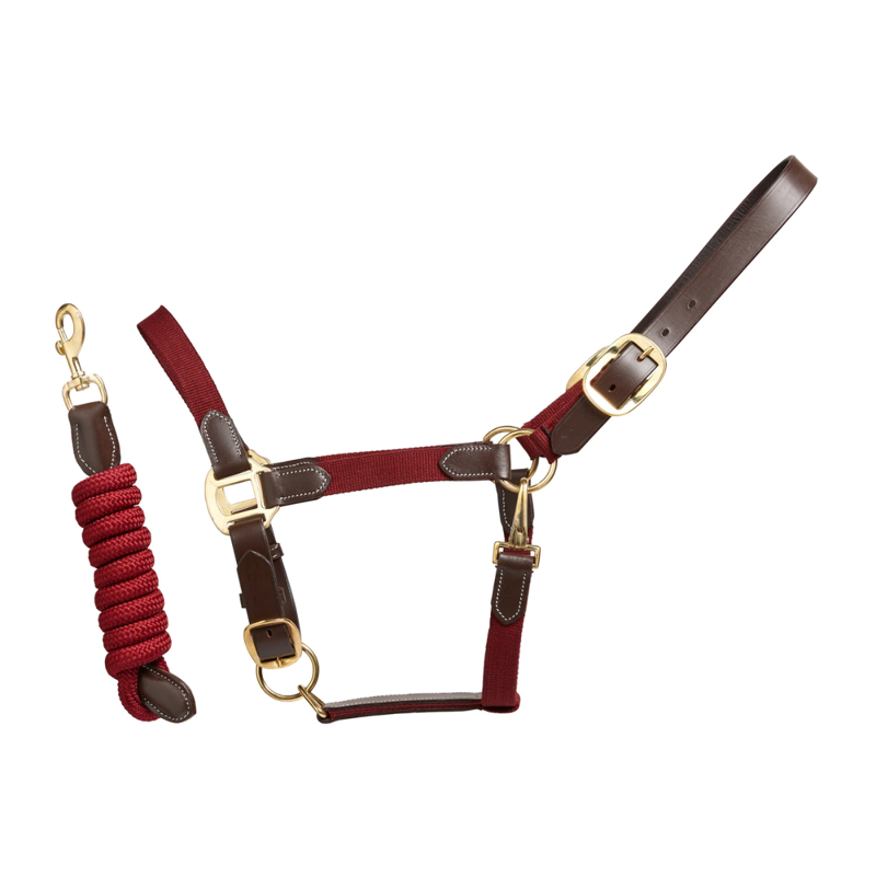 Cameo Performance Leather Headcollar and Lead - Plum-1