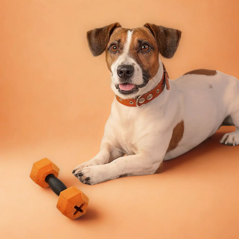 Nike Grind Dumbell Dog Toy - S/M-2