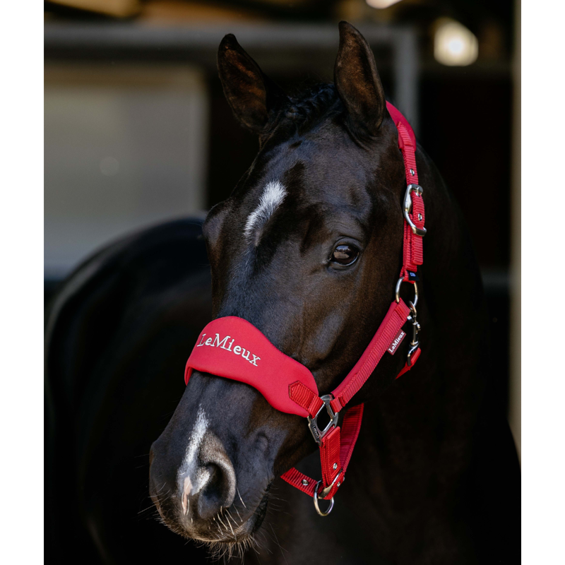 LeMieux Breakaway Vogue Headcollar - Chilli-1