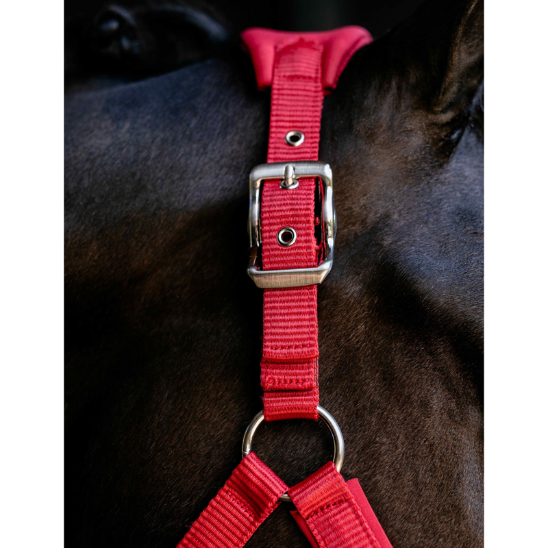 LeMieux Breakaway Vogue Headcollar - Chilli-3