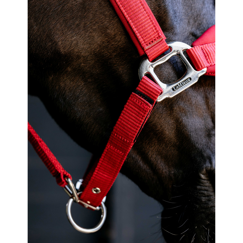 LeMieux Breakaway Vogue Headcollar - Chilli-2