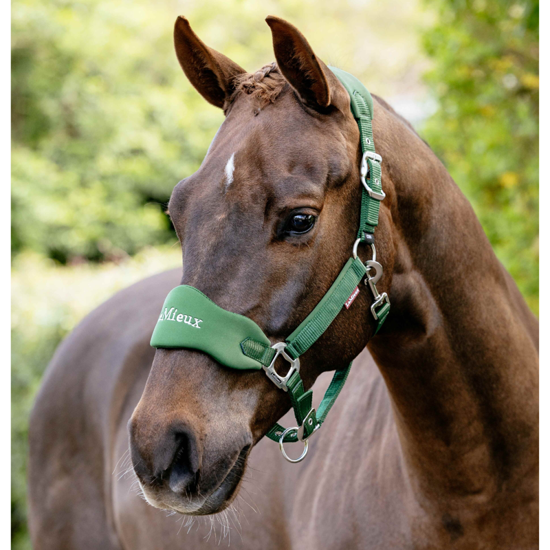 LeMieux Breakaway Vogue Headcollar - Hunter Green-1