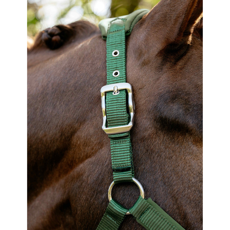 LeMieux Breakaway Vogue Headcollar - Hunter Green-2