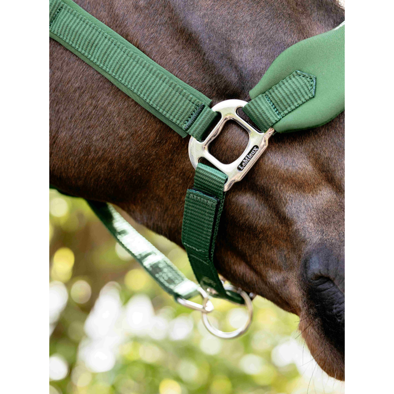 LeMieux Breakaway Vogue Headcollar - Hunter Green-3