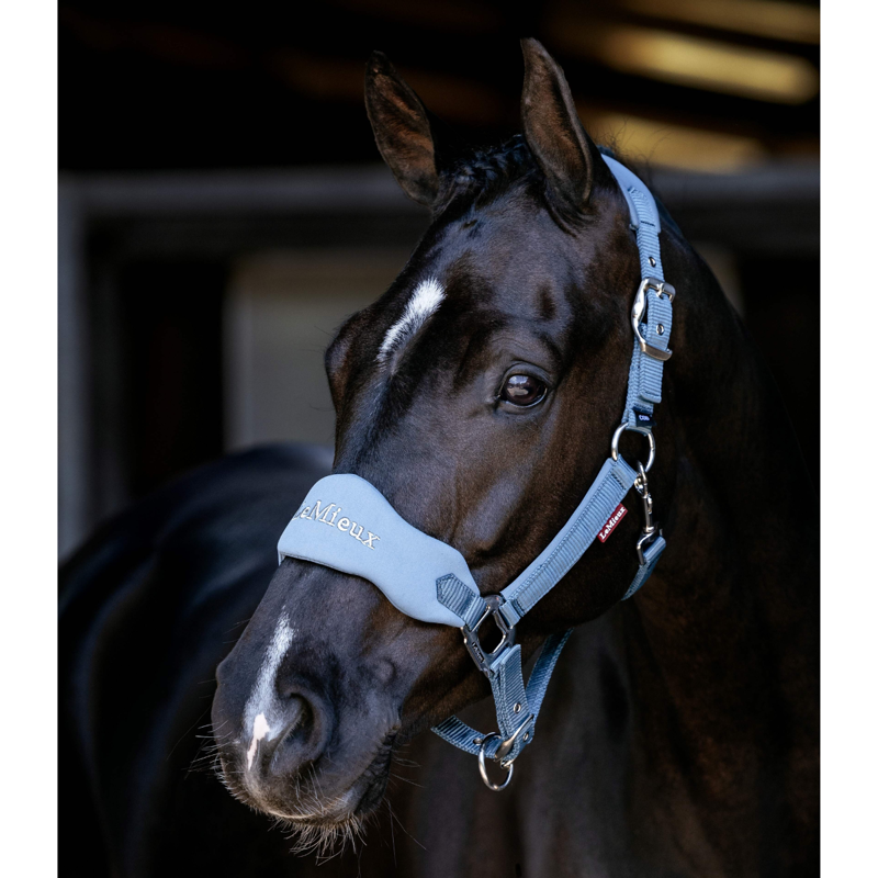 LeMieux Breakaway Vogue Headcollar - Ice Blue-1