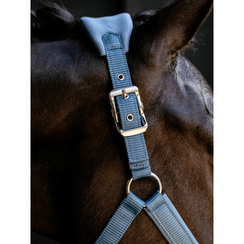 LeMieux Breakaway Vogue Headcollar - Ice Blue-2