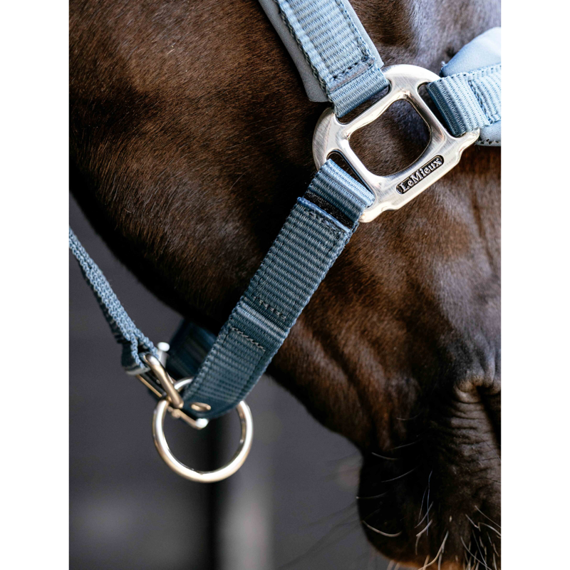 LeMieux Breakaway Vogue Headcollar - Ice Blue-3