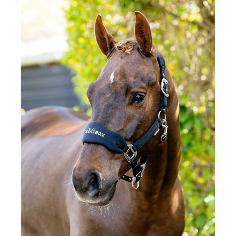 LeMieux Breakaway Vogue Headcollar - Black-1