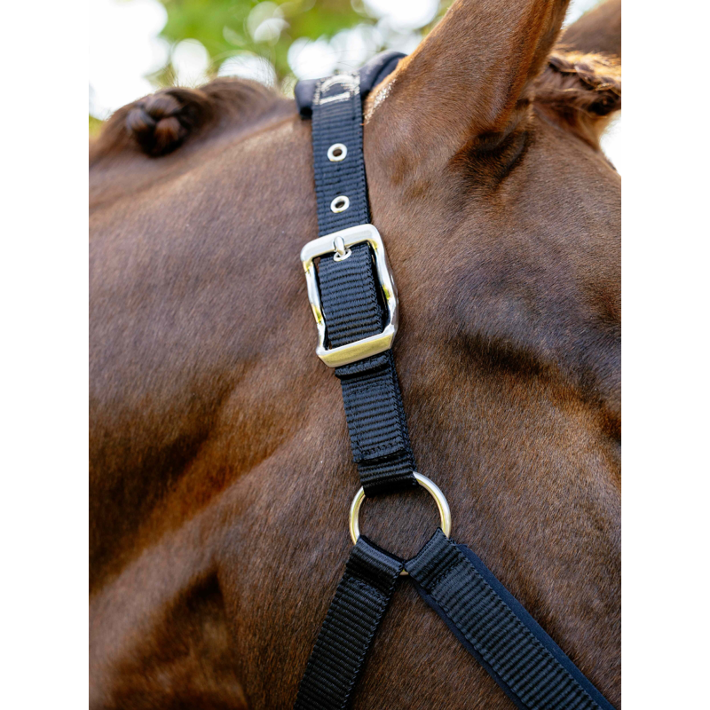 LeMieux Breakaway Vogue Headcollar - Black-3