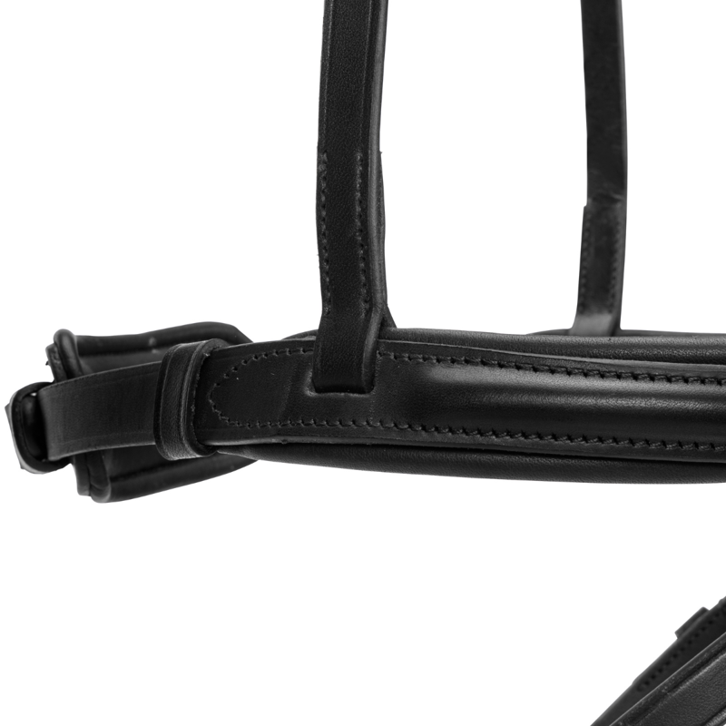 Shires Velociti LUSSO Elite Flash Noseband - Black-5