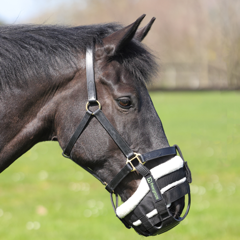 Shires Freegraze Grazing Muzzle Attachment - Black-8
