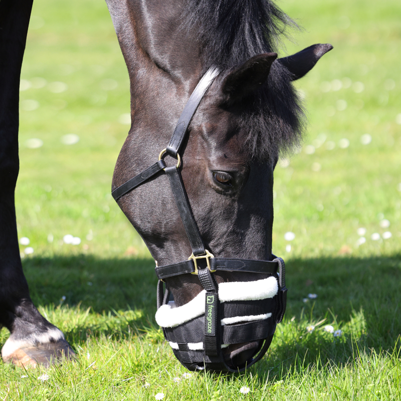 Shires Freegraze Grazing Muzzle Attachment - Black-9