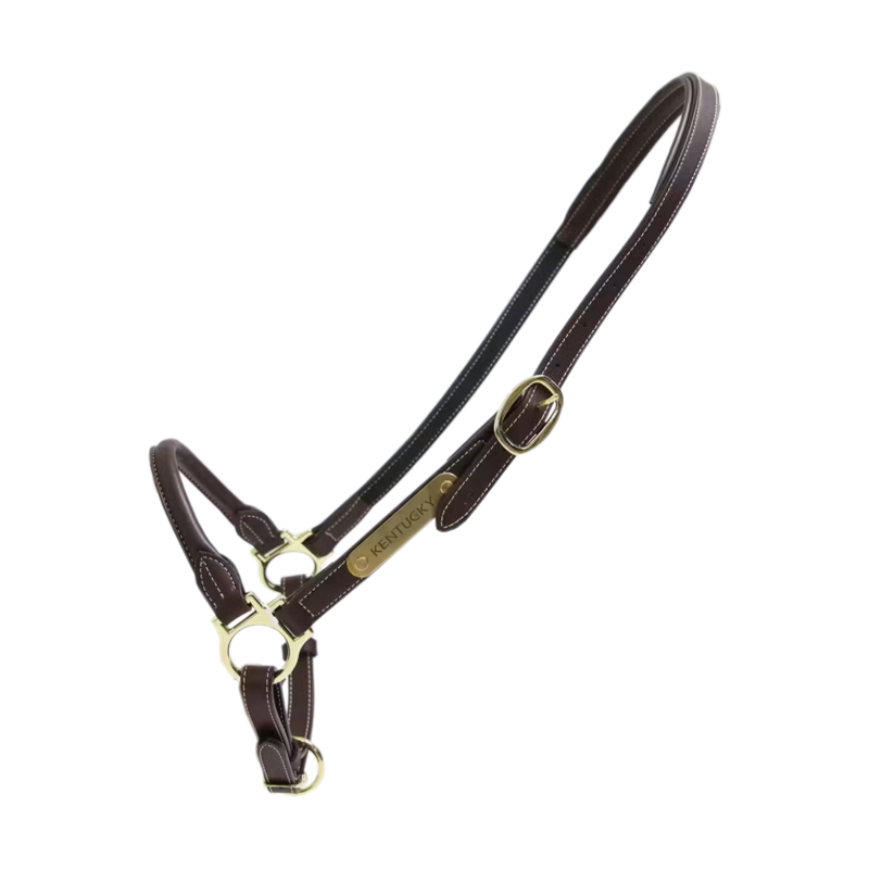 Kentucky Leather Grooming Halter - Black-2