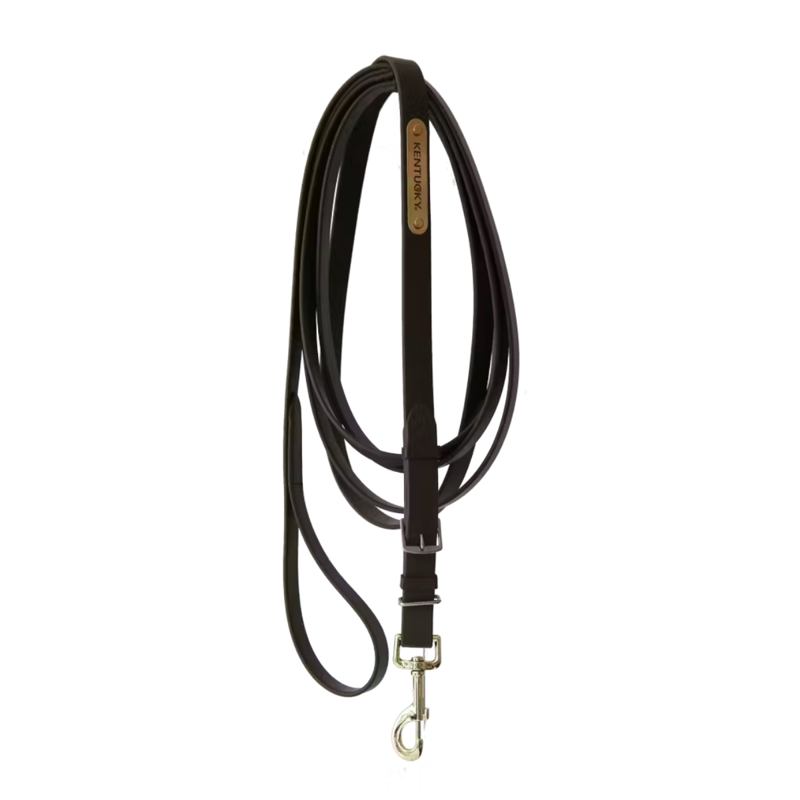 Kentucky Stallion Lead-1