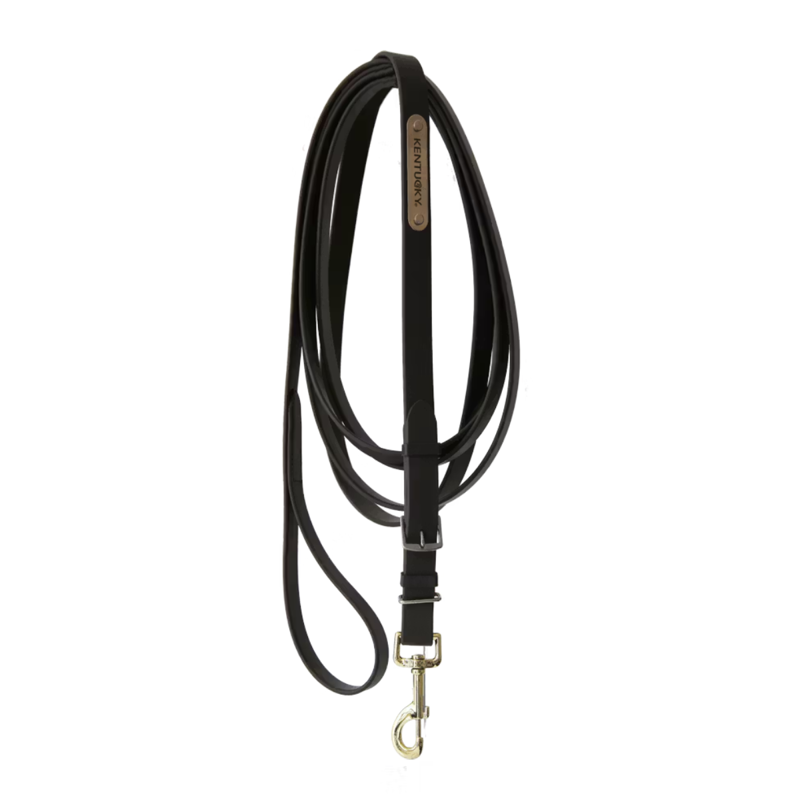 Kentucky Stallion Lead-2