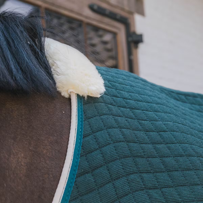 Kentucky PROTherm Cooler Rug - Dark Green-1