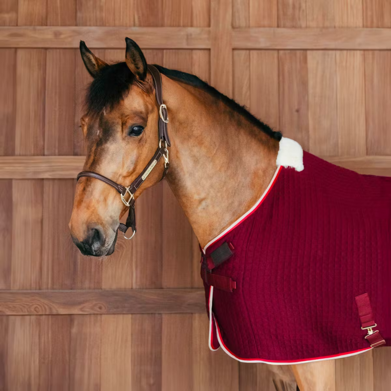 Kentucky PROTherm Cooler Rug - Bordeaux-1