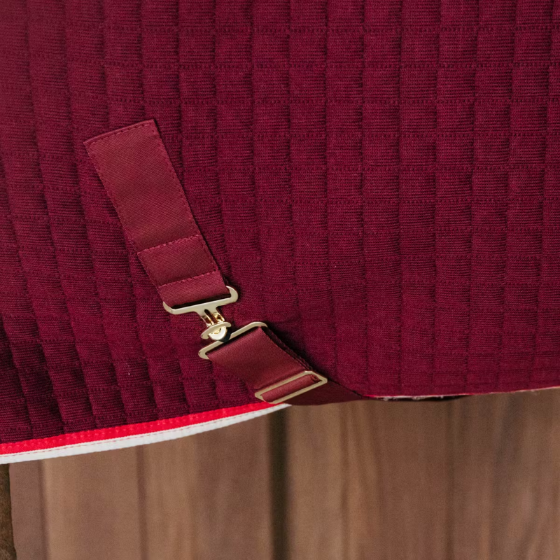Kentucky PROTherm Cooler Rug - Bordeaux-4