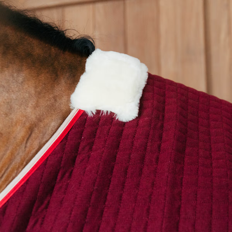 Kentucky PROTherm Cooler Rug - Bordeaux-2