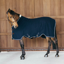 Kentucky Vegan Wool Fleece Rug - Navy