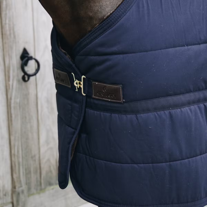 Kentucky Skin Friendly 150g Under Rug - Navy-2