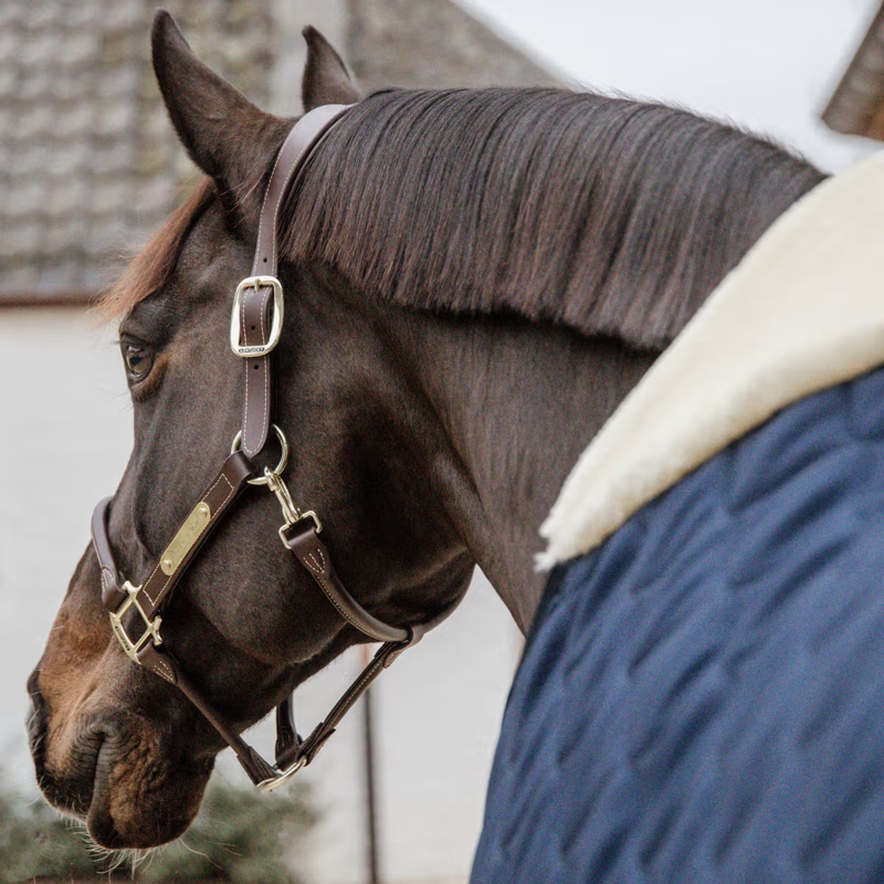 Kentucky Comfort Stable Rug 300g - Navy-1
