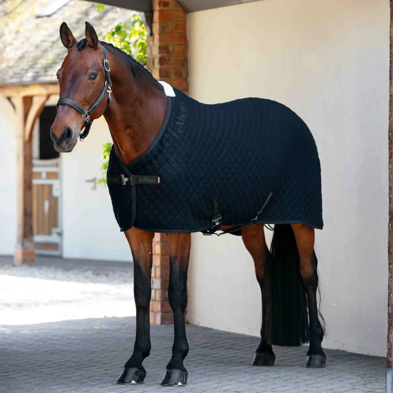LeMieux Arika Clima-Tek Rug - Navy